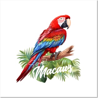 Scarlet Macaws Posters and Art